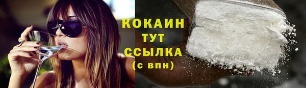 сатива Арсеньев