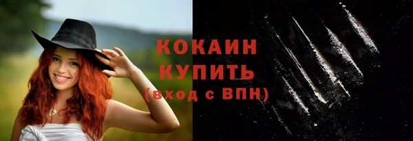 дживик Аркадак