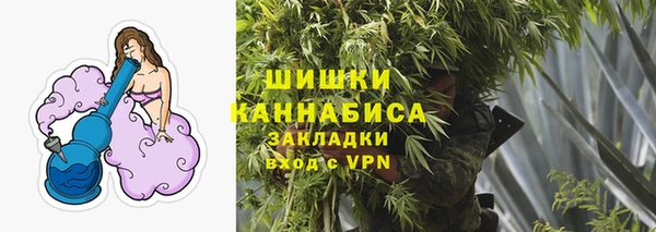 сатива Арсеньев